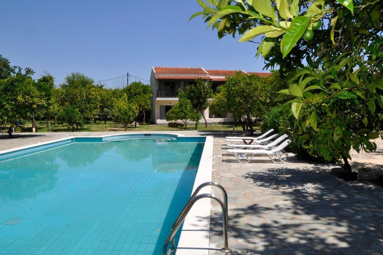 Apartament Orange Grove
