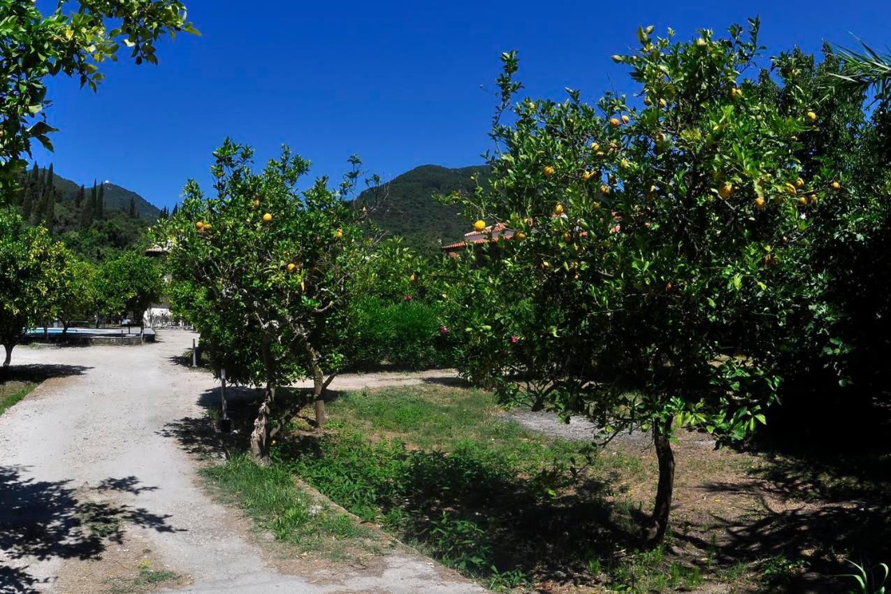 Apartament Orange Grove *
