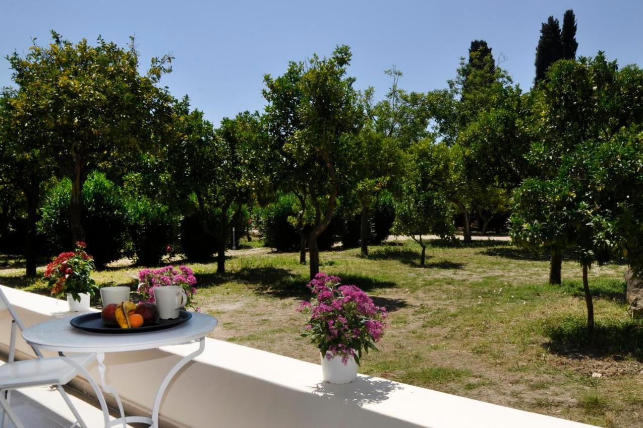 Apartament Orange Grove