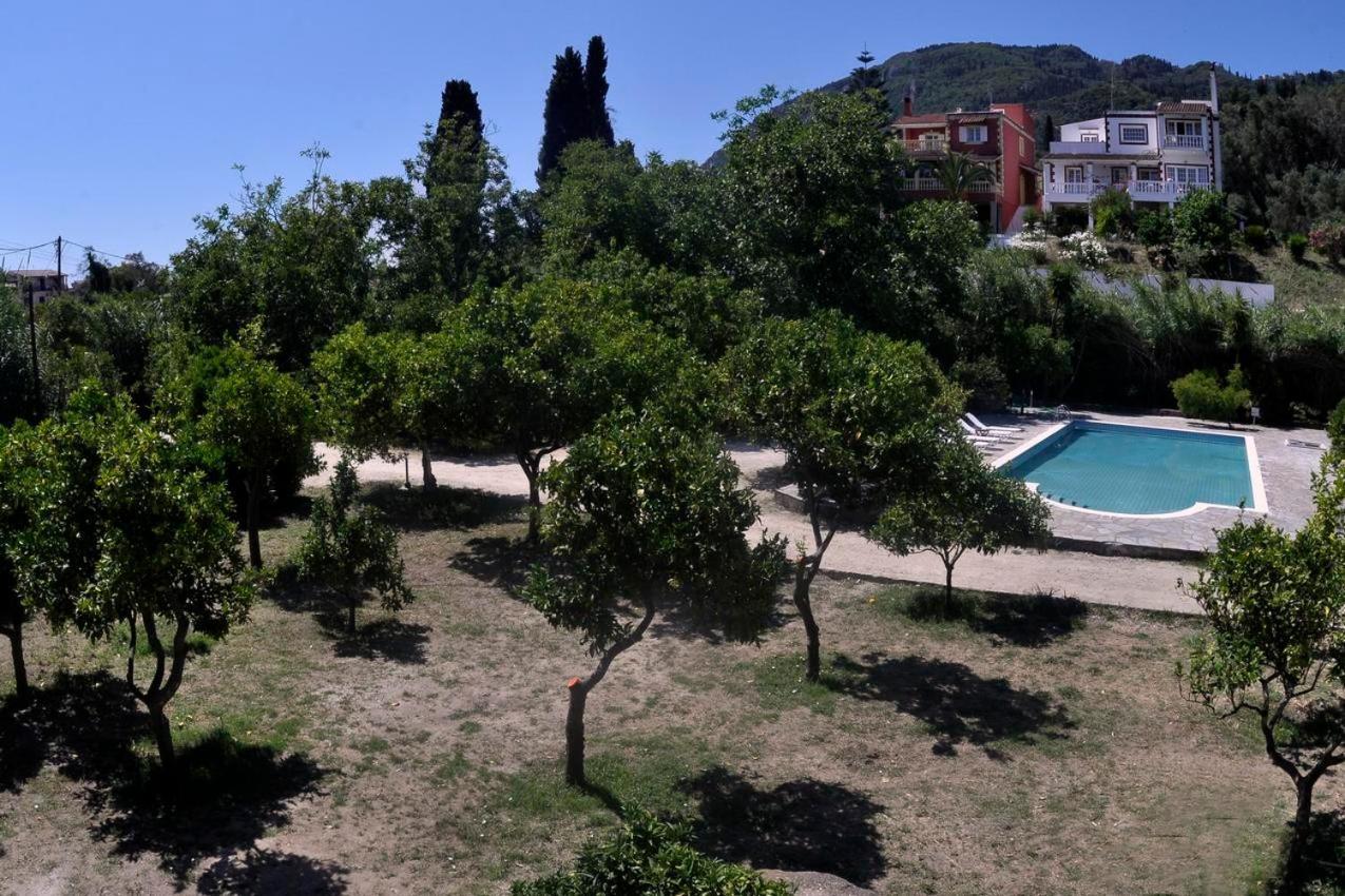 Orange Grove Apartament *