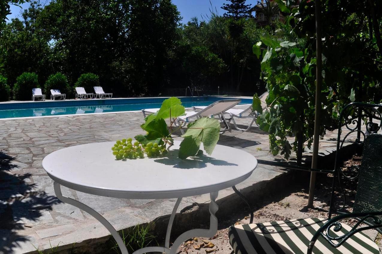 Apartament Orange Grove Benitses (Corfu)