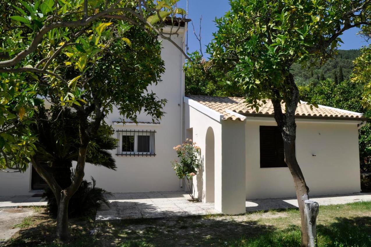 Orange Grove Apartament *