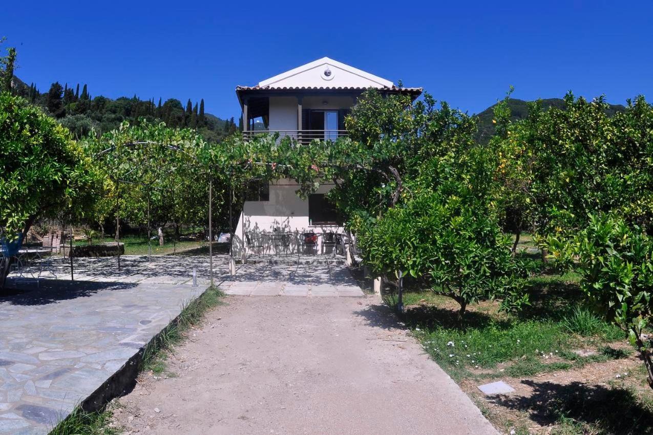 Orange Grove Apartament Benitses (Corfu)