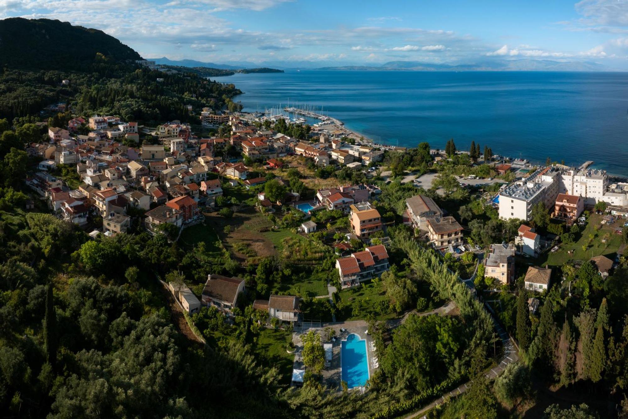 Orange Grove Benitses (Corfu)