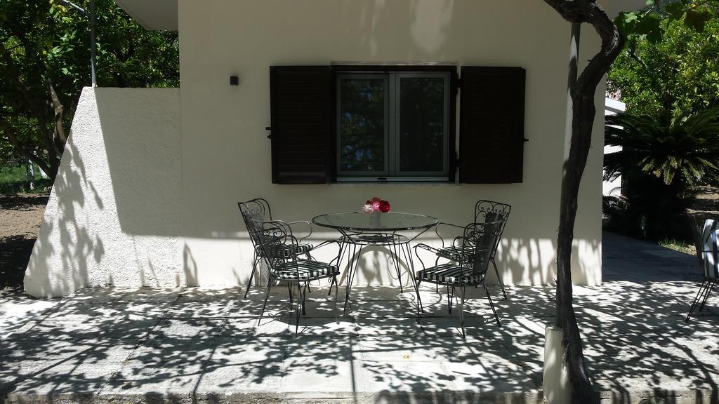 Apartament Orange Grove